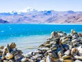 成都到泸州大巴，便捷舒适的旅程探秘