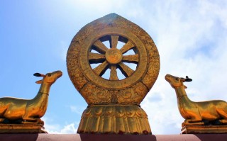 成都旅行包车，探索成都的*方式