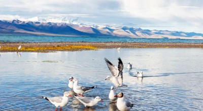 成都到九寨沟，旅行中的行李寄存攻略