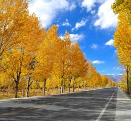 九寨沟之旅，成都出发的惊魂未定