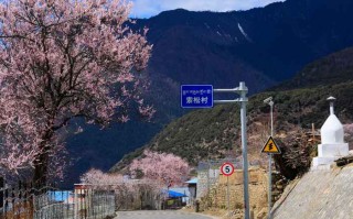 从拉萨到成都，包车旅行的费用和考量因素