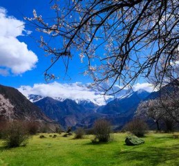 成都出发，探秘九寨沟，一场说走就走的旅行