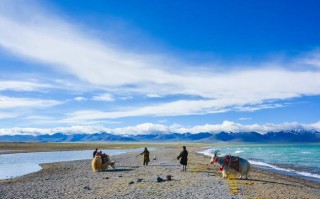 探秘成都到九寨沟的神奇之旅