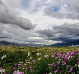 成都出发探索九寨沟的大巴之旅，性价比与美景的双重享受