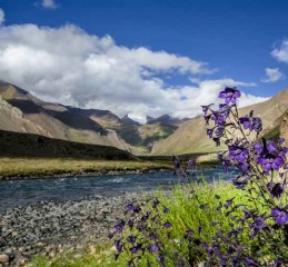 成都出发，探秘九寨，一场预算内的奇幻之旅