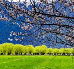 探索隐秘仙境，从成都启程，走进小九寨沟的神秘之旅