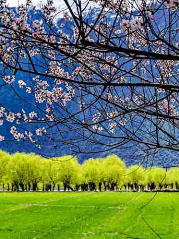 穿越川西秘境，成都至九寨沟的奔驰客车之旅