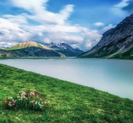 成都出发，九寨沟一日游，穿梭于城市与仙境之间的奇妙旅程