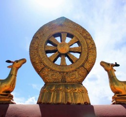 穿越山水画卷，成都至九寨沟的大巴之旅