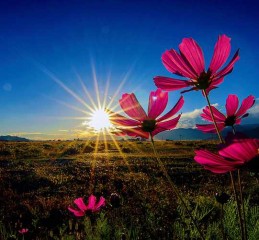 探秘成都到九寨沟东线的海拔之旅，一路高歌，一路风景