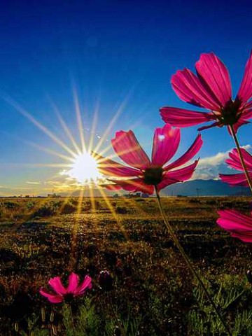 穿越山水间，成都至九寨沟的电视货运之旅