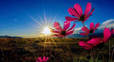 成都出发，一路向西——火车旅行九寨沟的奇遇记