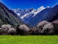 贵阳至成都的便捷之旅，包车大巴的全方位体验