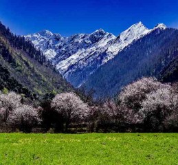 成都至九寨沟一路风景，一路堵？真实体验告诉你真相！