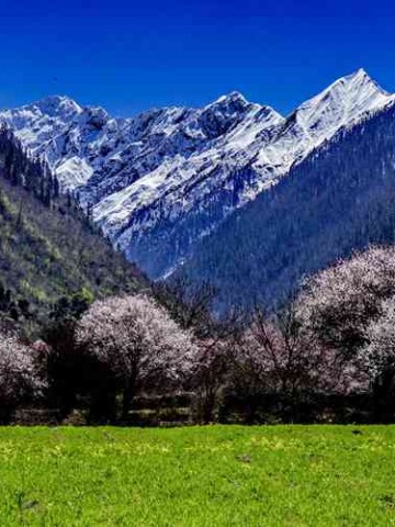 成都出发，征服川西黄龙九寨沟包车之旅，一场说走就走的冒险