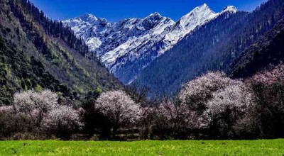 穿越山川，探索神秘——从成都到九寨沟的旅程