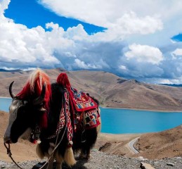 自驾游记成都出发，一路风景到九寨沟，途中住宿全攻略