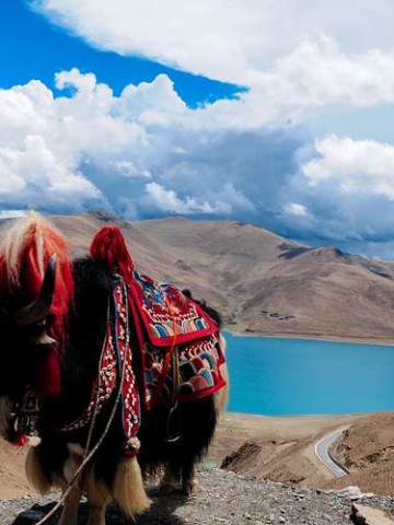 成都出发，探秘九寨沟与黄龙的自然瑰宝之旅