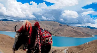 成都到九寨沟东线一场说走就走的旅行，记录沿途的惊艳美景