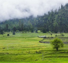 探秘九寨成都出发，九寨沟深度游全攻略