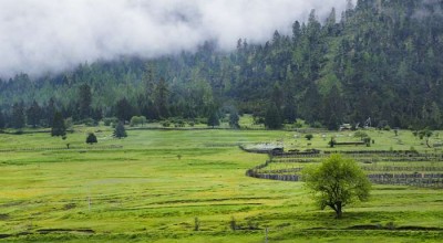 成都到九寨沟，自驾路上的惊喜与挑战