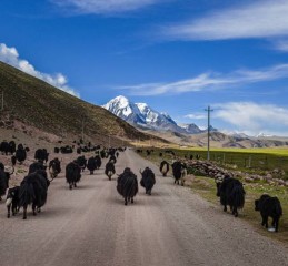 一路向西，从成都到九寨沟的自驾奇遇记